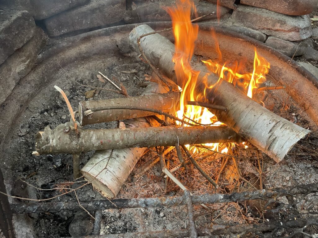 Fire of birch & pine logs 